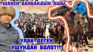 Ала Бука/ Шакен балбандын ашы/ Таза Улак ушундай болот!!!