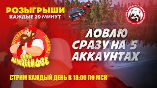Фармлю на 5 аккаунтах одновременно. Янтарное - Старвасы. Острог - лещ. Медное - цветняк.