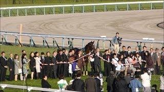 サブちゃん　熱唱！祭りだＧⅠ初制覇！菊花賞キタサンブラック（現地撮影）