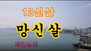 12신살 8 -1 망신살, 망신살(亡身)의 작용 - 피클의 행복한 명리