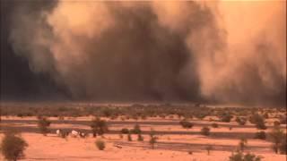 Nat Geo Wild - Sandstorm