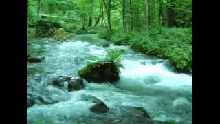 【 DNA repair　anti-aging】Babble of the river＋Solfeggio 528 Hz　若返り・ＤＮ�