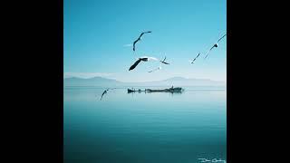 Who remembers this iconic shot of Beautiful Bangladesh  #bangladesh #travel #musicvideo