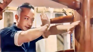 WING CHUN SELF DEFENSE TECHNIQUES COMPILATION PT-17