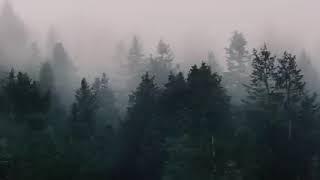Snowfall By øneheart [X Reidenshi] ]10 Hours]