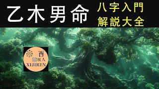 天干深度解析：乙木男命五行格局大揭秘I【八字學習天干詳解大全】五行乙木男命格的讲解I乙木男明星I周杰伦I刘昊然I鹿晗I陈晓