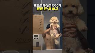 어깨가 터져버리네…ㄷㄷ (사레레,어깨운동,프론트레이즈)