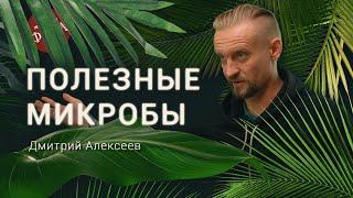 То, что происходит в кишечнике – влияет на наши мысли. Ученый Дмитрий Алексеев