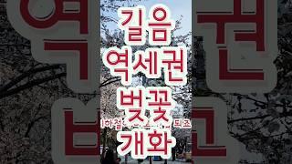 길음로벚꽃개화#shorts#길음뉴타운 #길음역 #롯데캐슬 #래미안길음센터피스 #롯데캐슬클라시아 #트윈골드