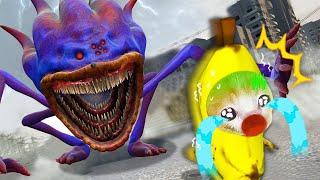 THE SONIC TAPES: Banana Cat's Facing the SHIN SONIC Monsters!  Banana Cat Compilation | Cat MEME 