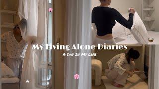 My Living Alone Diaries | A productive day in my life, deep cleaning, shopping, unboxing, working...