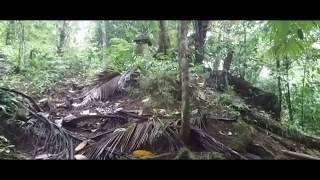 Trace of world war II.. japanese underground bunker