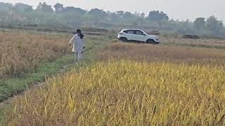 35 Acre  land with 3 tubewell connection for sale in Talwara tehsil  dist Hoshiarpur 9316167007