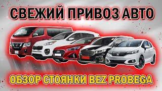 Привоз авто "БЕЗ ПРОБЕГА" I SONATA I CARNIVAL I SPORTAGE I NV350 NISSAN I HONDA FIT