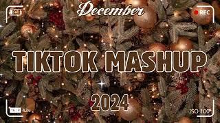 TikTok Mashup December 2024 (Not Clean)