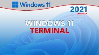 Windows 11 Terminal