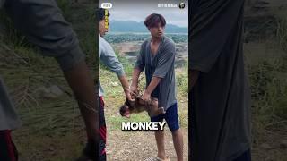 Girl Saves Monkey From Unfortunate Fate ️#animalshorts #animals #wholesome