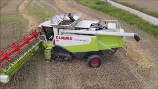 Weizenernte mit Claas Lexion 600 Terra Trac "Raupenantrieb".