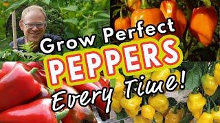 Grow Perfect Peppers Every Time! 