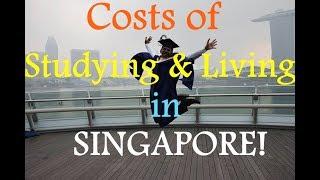 Costs of studying and living in Singapore (NUS) - Vishnu Raj