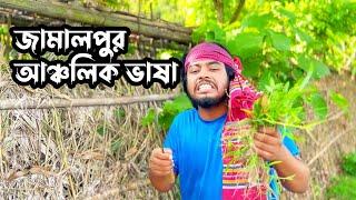 জামালপুর আঞ্চলিক ভাষা শুনে আপনার হাসতেই হবে । Traveler Onukabbo