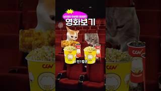 베테랑2 보기-냥사원의 큐트한 일상생활 #고양이밈  #유머 #썰 #catmemes #고양이일상 #사회생활 #회사생활 #일상생활 #베테랑2 #영화 #리워디월렛