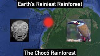 Earth's Rainiest Rainforest: The Chocó Rainforest