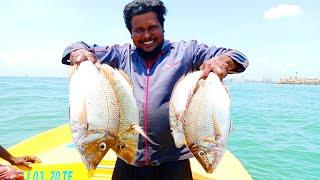 Big Snapper Fish Catching (Boat Fishing)