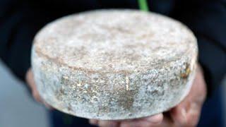 Best Seasonal French Cheeses: A Month-by-Month Guide