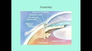 Uveitis - CRASH! Medical Review Series