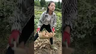 这一口袋太重了，我和妈妈好不容易才扛起来 #记录农村真实生活 #countrygirl