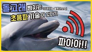 10명이 할 일을 혼자서 할 수 있는 울트라 소닉 (초음파) 기술!? / ultra sonic / [월드팩토리]