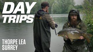 Maximising Day Sessions at Thorpe Lea Fishery | Carp Fishing