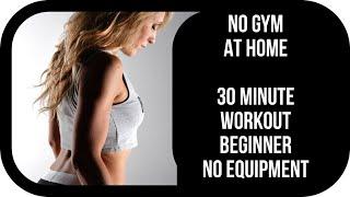 NO GYM- Home - 30 Minute Full Body Workout- No Equipment - Upper & Lower Body with Abs