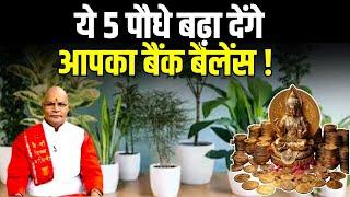 ये 5 पौधे बढ़ा देंगे आपका बैंक बैलेंस ! | Pandit Suresh Pandey | Darshan24