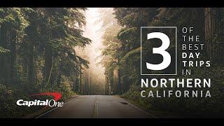 3 of the Best Day Trips in Northern California | Capital One