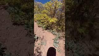 Benchmark Primitive Trail in Salt Lake City, Utah - Arcadia Heights, Grace Canyon & Parley’s Point