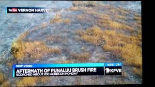 Aftermath of Punaluu field fire as broadcast on TV