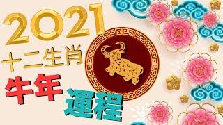 2021牛年生肖運程預測！有冇犯太歲？配戴什麼吉祥物？流年吉星煞星速速看！VNT輕鬆小棧