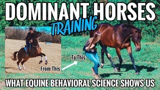 Training the Aggressive, Disrespectful, Dominant Horse