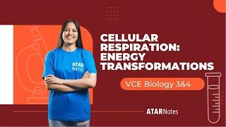 VCE Biology 3&4 - Cellular Respiration: Energy Transformations