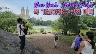 뉴욕 센트럴파크 꼭 가봐야하는 반전 매력/홀푸드마켓/New York Central Park! Unexpected charm that you must visit