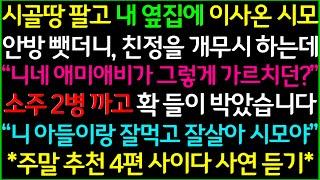 사이다-1.어머님이 주신 명절음식 버렸다고 게거품 물던 남편2.내가 암 걸렸는데 집에 시어머니 부른 남편 3.손주 봐주시는 어머님, 생색내는 남편4.시골땅 팔고 옆집에 이사온 시모