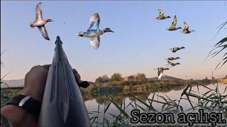 [ÖRDEK AVI] SEZON AÇILIŞI 2024\2025\ SEZONU.   duck hunting  охота на уток  caza de patos