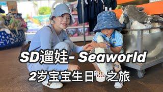 【Vlog】湾区开车到圣地亚哥遛娃(下期) | SeaWorld海洋世界 | 旅行最后娃生病了 | Travel with 2y old baby