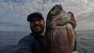 Pesca aos pargos e mais/Fishing Snapper and more #azores