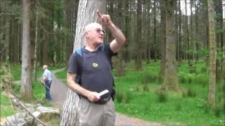 Gougane Barra guided walk. V176