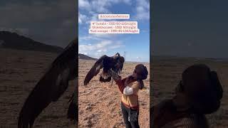 Expenses When Visiting Kyrgyzstan