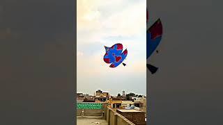 New Big Designing Patang ️ Patang Lover #shorts #youtubeshorts #patanglover #patangflying #viral