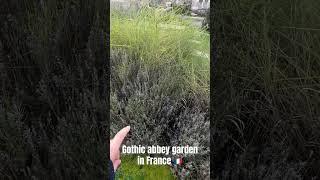 Sweet little garden at a gothic abbey in France!